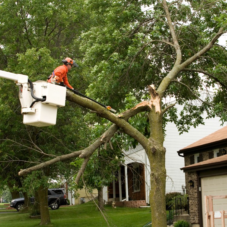 Junk removal and demolition in South Jordan, UT